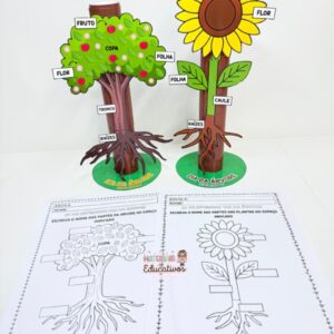 Atividade: Construindo as partes da Planta